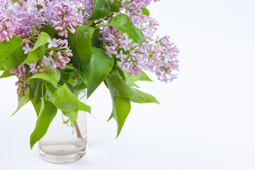 A branch of purple lilac in a glass of water, used as a background or texture