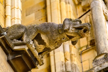 Gargoyle in Reims Cathedral (Notre-Dame) is a Roman Catholic church in Reims, France