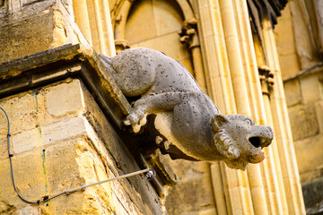 Gargoyle in Reims Cathedral (Notre-Dame) is a Roman Catholic church in Reims, France