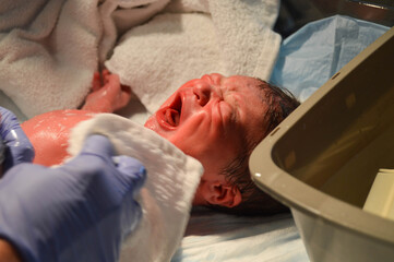 Newborn baby getting his first bath