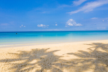 Fototapeta na wymiar Paradise beach with cocnut shadows