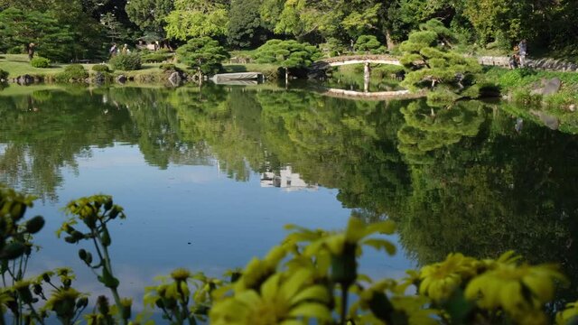 Blue quiet lake with foreground of flowers in Kiyosumi Garden,Tokyo, Japan