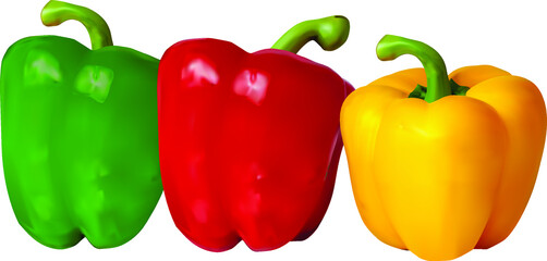 realistic vector paprika red, yellow and green