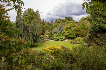 The garden of a public park in Vancouver