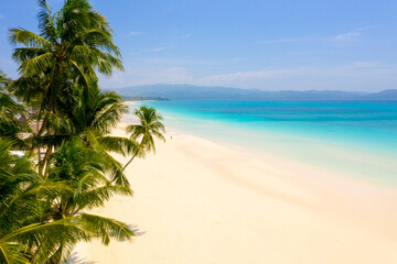 Tropical beach dream with the coconut tree
