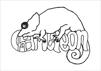 Sketch of chameleon. Hand drawn illustration. Coloring page.