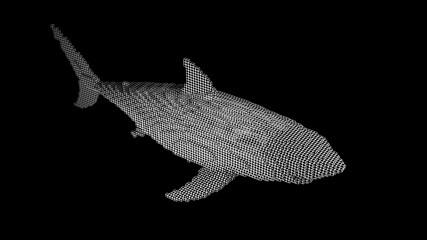A shark made of many cubes on a black uniform background. Constructor of cubic elements. Art of the wild animal world in modern performance. 3d rendering.