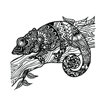 Hand drawn chameleon. Zentangle Art. Coloring page.