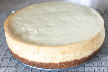 A freshly baked, homemade cheesecake cooling on a wire rack.