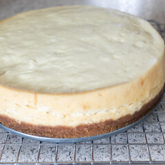 A freshly baked, homemade cheesecake cooling on a wire rack.