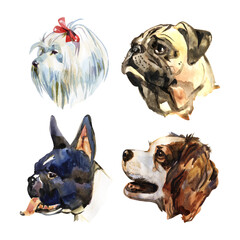 Cartoon small dogs. Watercolor hand drawn illustration