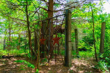 Nature and ruins in Chernobyl, a town in Ukraine, famous by the nuclear reactor explosion disaster...