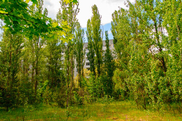 Obraz premium Abandoned house surrounded by trees in Pripyat, a ghost town in northern Ukraine, evacuated the day after the Chernobyl disaster on April 26, 1986
