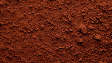 cocoa powder top view, macro