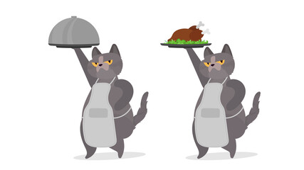 Funny cat holds a metal dish with a lid. A cat with a funny look. Good for stickers, cards and t-shirts. Isolated. Vector.