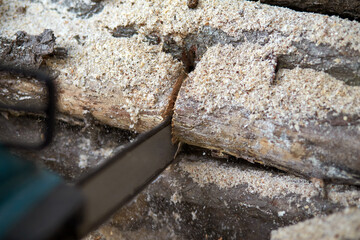 Cut a tree using power saw.
