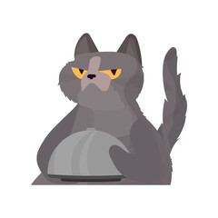 Funny cat holds a metal dish with a lid. A cat with a funny look. Good for stickers, cards and t-shirts. Isolated. Vector.