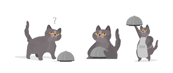 Funny cat holds a metal dish with a lid. A cat with a funny look. Good for stickers, cards and t-shirts. Isolated. Vector.