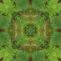 Green mandala from forest trees. Mandala made from natural objects. Natural ornament. Symmetry and perfection