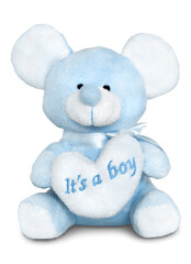 Blue plush teddy bear toy with heart. On the heart is writting 