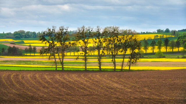 Rural landscape, Poland, Pasłek village, Pomeranian voivodeship