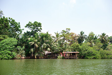 A wooden hut house stands on the water on the shore of a tropical forest.