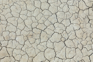 Dry, cracked mud on a desert floor