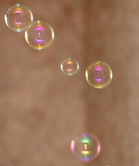 Beautiful soap bubbles fly