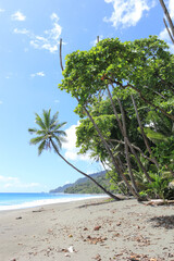 Beautiful beach scenery in Corcovado National Par, summer and waves, Costa Rica, Central America