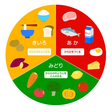 子ども用栄養バランス表