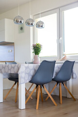 New house with modern furniture