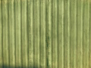 Bright green background fence strips