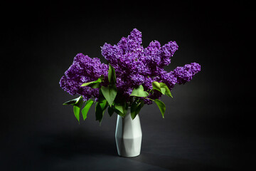 Purple lilac in a white vase on a black background. Syringa. Lilac branches. Bouquet of purple lilac. Flowers photographed in the studio. Flower season