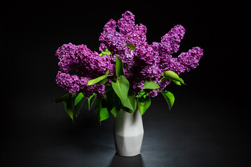 Purple lilac in a white vase on a black background. Syringa. Lilac branches. Bouquet of purple lilac. Flowers photographed in the studio. Flower season