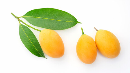 Yellow Marian plum fruit on a white background.