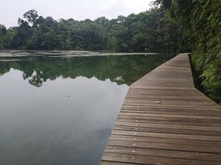 Wooden boardwalk trail close to water reservoir in Singapore 