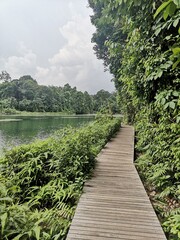 Fototapeta na wymiar Wooden boardwalk trail close to water reservoir in Singapore 