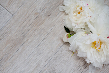 background with white peonies, flower background