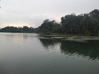 Scenic and tranquil reservoir surrounded by lush rainforest in Singapore