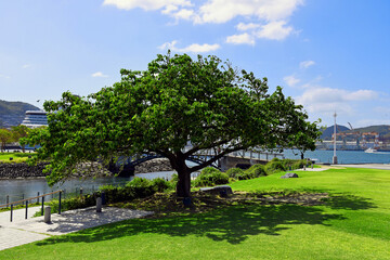 landscape with trees