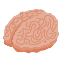 Obraz premium Zombie brain icon. Isometric of zombie brain vector icon for web design isolated on white background