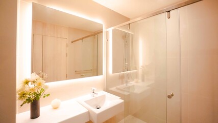 bathroom interior with modern design