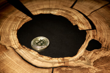 Cryptocurrency coin on a tree. Bitcoin in an oil hole.