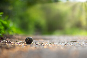 Ball left on a country road