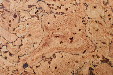 Cork-board background texture. close up flat lay view