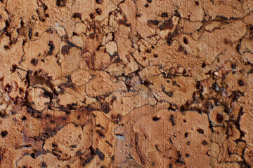 Cork-board background texture. close up flat lay view
