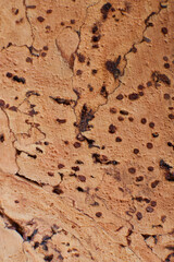 Cork-board background texture. close up flat lay view