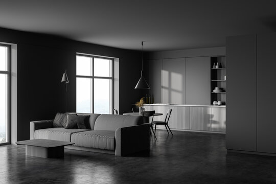 Grey kitchen and living room corner with sofa