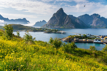 Beautiful summer season in Lofoten island, Norway, Scandinavia