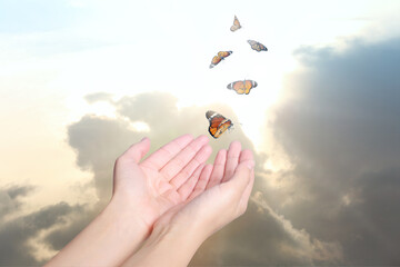 Woman releasing butterflies against beautiful sky outdoors, closeup. Freedom concept